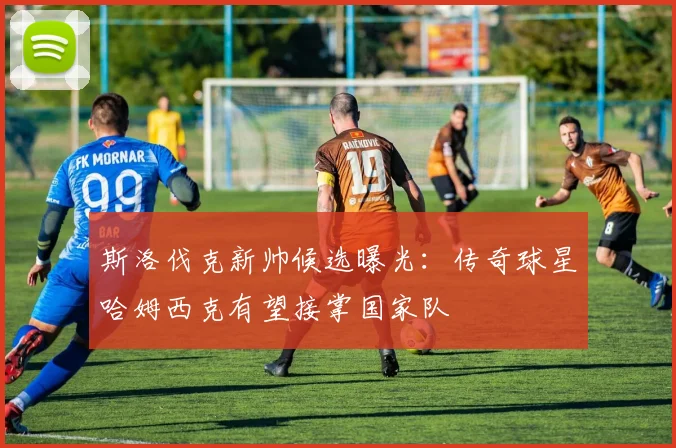 斯洛伐克新帅候选曝光：传奇球星哈姆西克有望接掌国家队