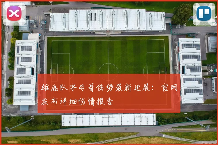 雄鹿队字母哥伤势最新进展：官网发布详细伤情报告